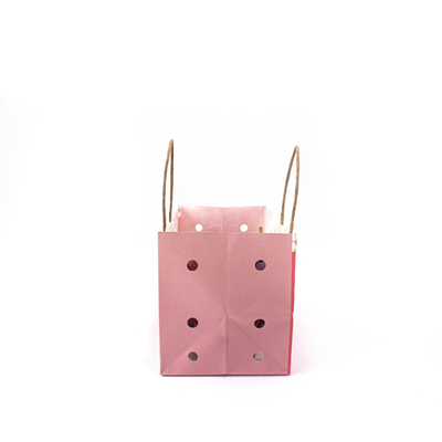 Compostable Craft Fruit Paper Bags 60gsm Thickness With Ventilation