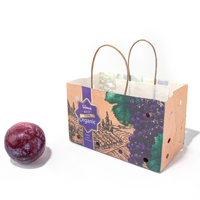 Logo Printed Kraft Food Paper Bag , Paper Twist Handle Bags For Fruit