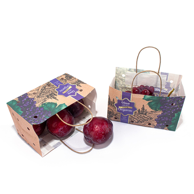 Twist Rope Handle Fruit Paper Bags For Grapes Orange Packaging