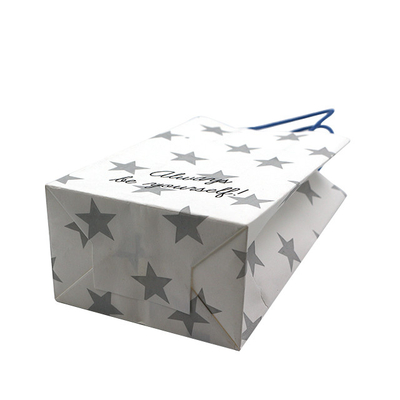 Disposable Shopping Handle Bags , OEM ODM Kraft Bags With Handles