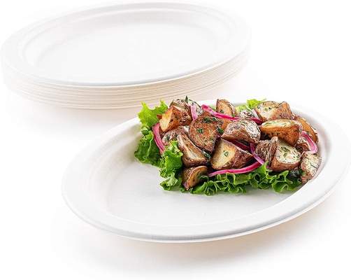 10 Inch 12 Inch Kraft Paper Plate Compostable For Restaurant